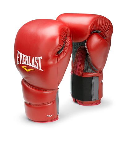 Everlast Boxing Gloves/ Muay Thai Gloves